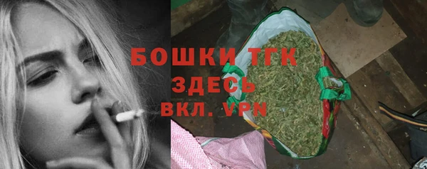 гашик Алексин