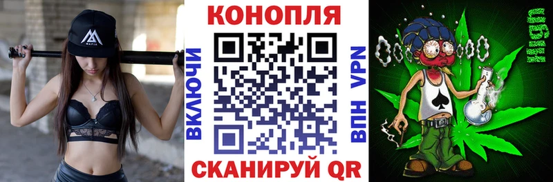 МАРИХУАНА индика Куровское