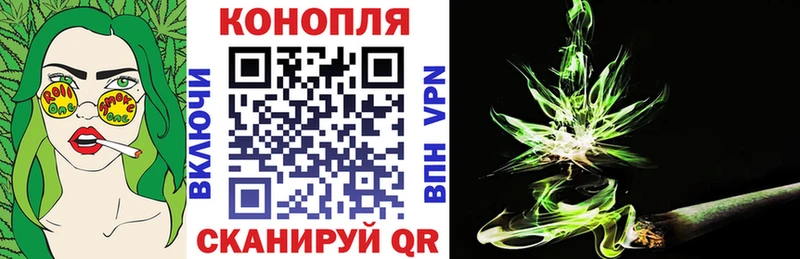 купить   Куровское  Шишки марихуана MAZAR 